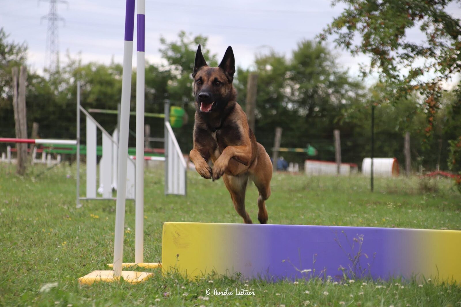 Agility